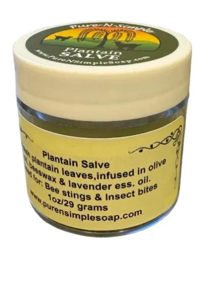 PLANTAIN-SALVE