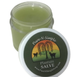 Plantain Herbal Salve