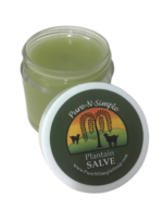 Plantain Herbal Salve