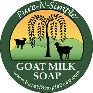 Pure-N-Simple Soap312x312